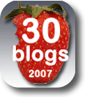 <h3>30 blogs recomendados para 2007</h3>